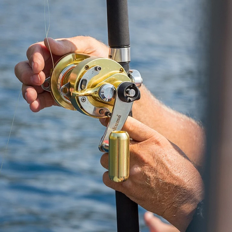 Maîtriser l'art de la pêche au coup pour des prises exceptionnelles