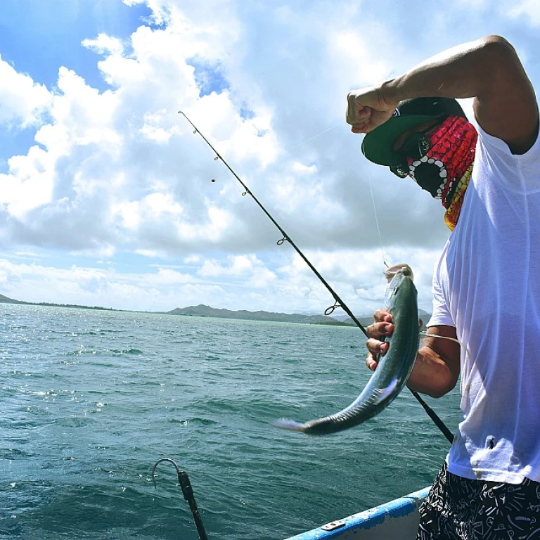 Meilleures offres sur le matériel de pêche