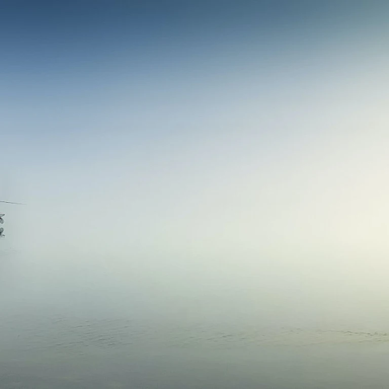 Bateau de pêche : tout ce que vous devez savoir