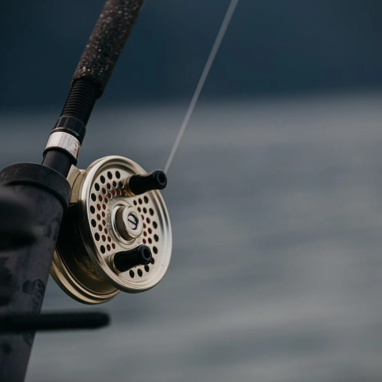 Carpe bouillette : l'art de la pêche à la carpe avec des bouillettes