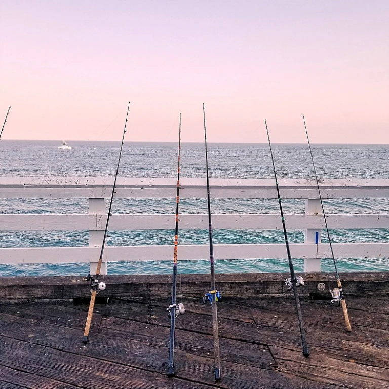 Bouillettes carpe : tout ce que vous devez savoir pour une pêche réussie