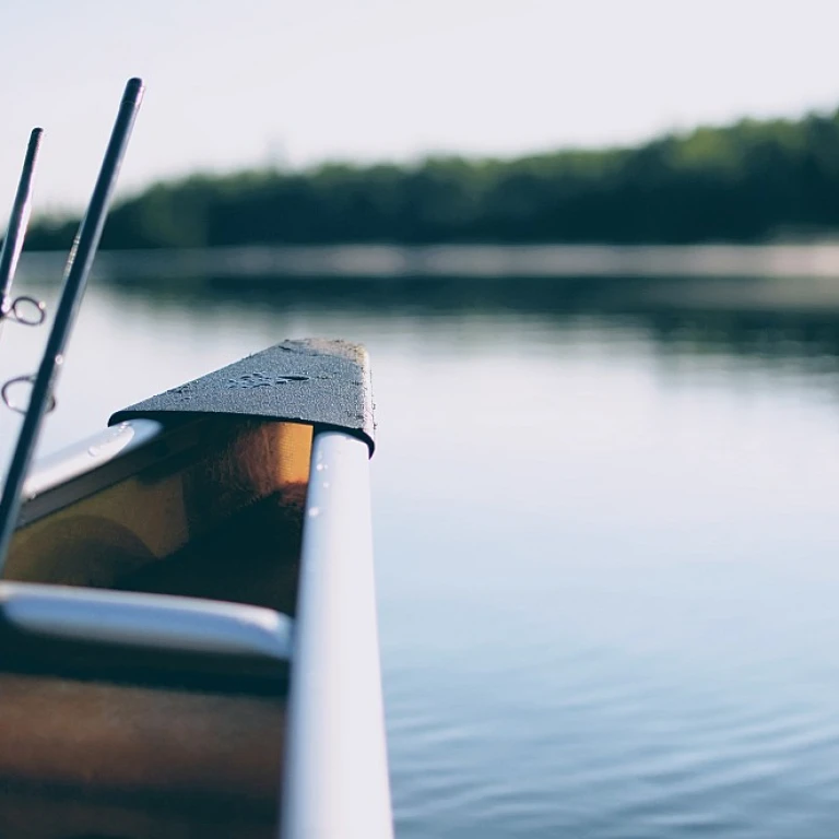 Découvrez la magie de la canne à pêche casting