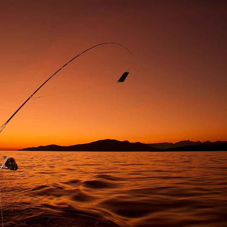 Comment choisir la meilleure canne à pêche pour la carpe